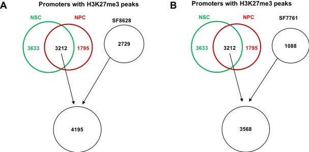 Figure 3—figure supplement 2.