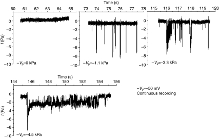 Fig. 1.