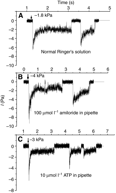 Fig. 2.