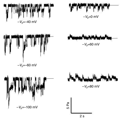 Fig. 3.