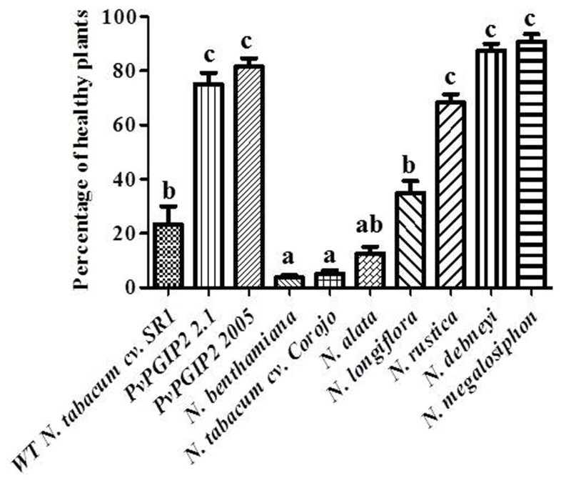 FIGURE 3