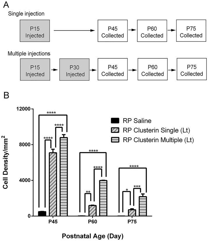 Fig 5