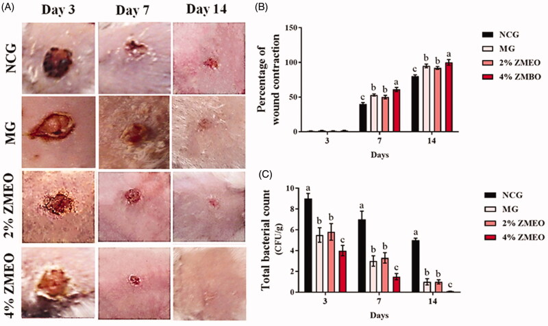 Figure 2.