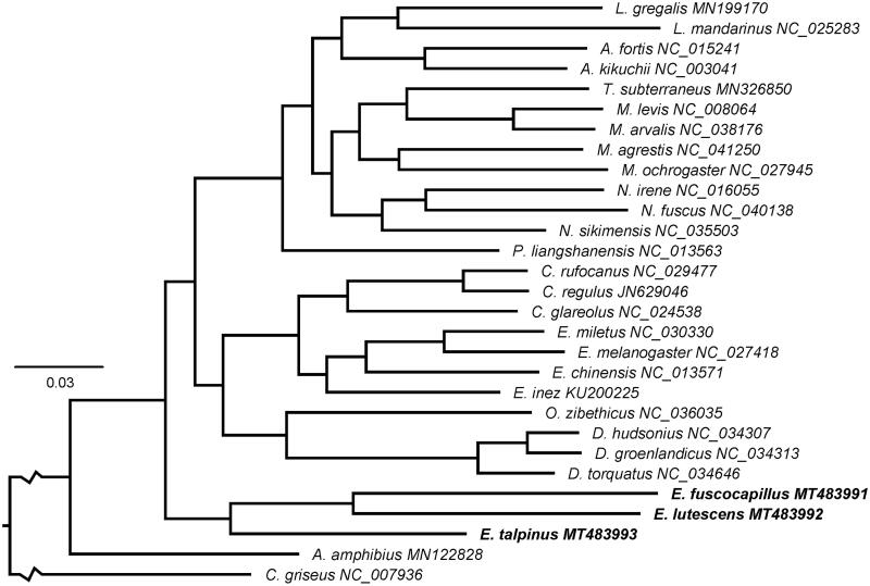 Figure 1.