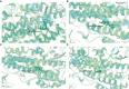 Fig 6