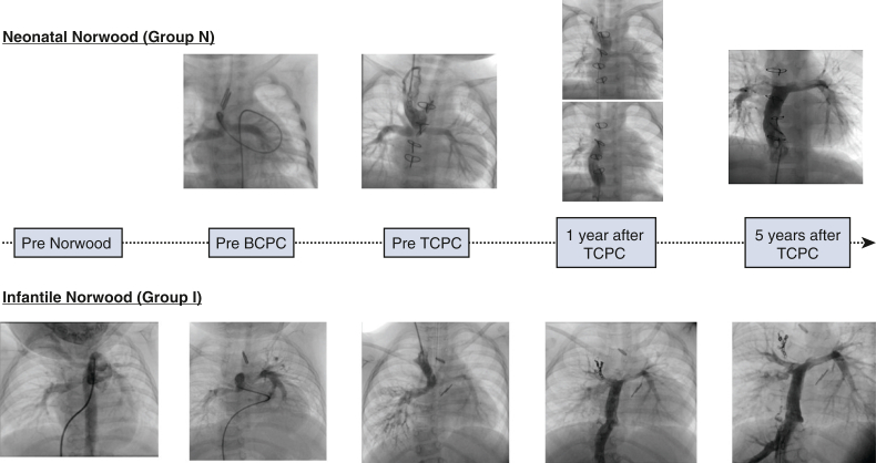 Figure 2