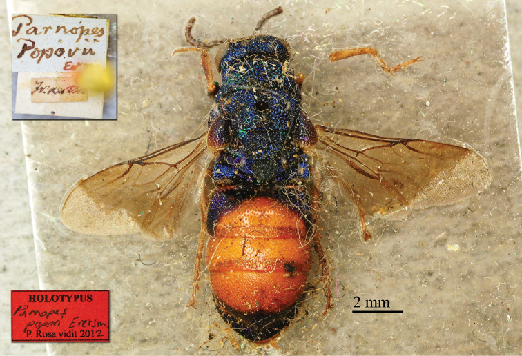 Figure 12.