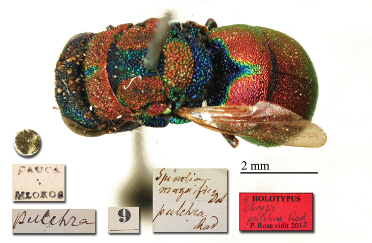 Figure 6.