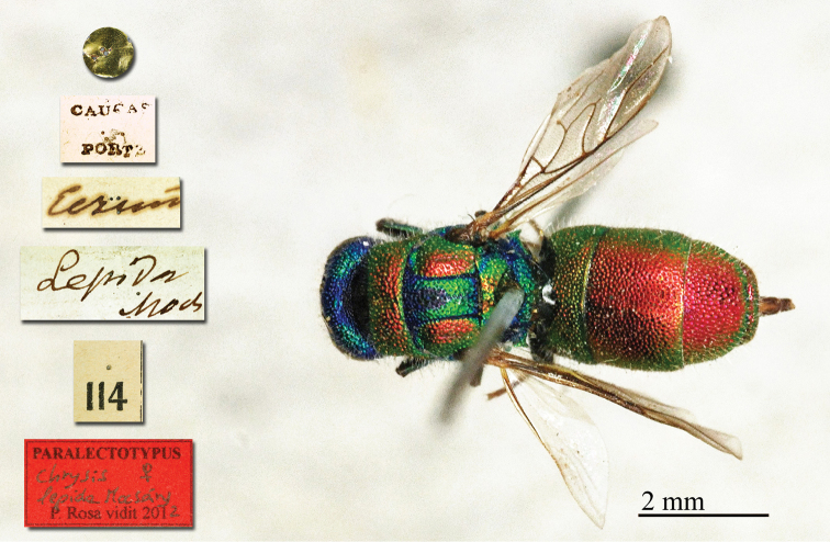 Figure 3.