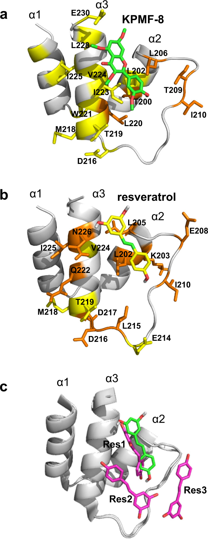 Fig. 6