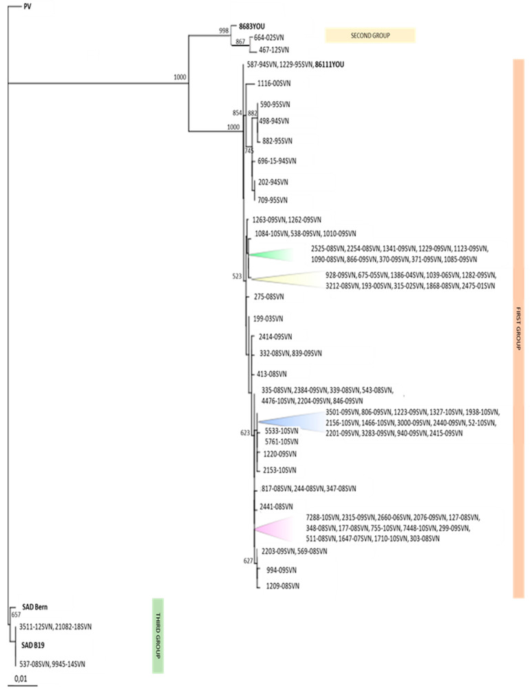 Figure 5