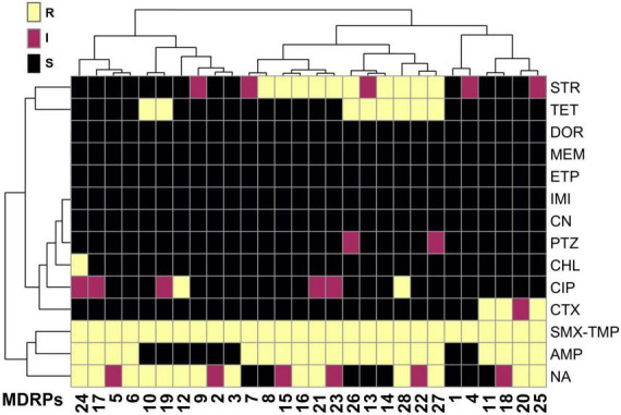 FIGURE 3