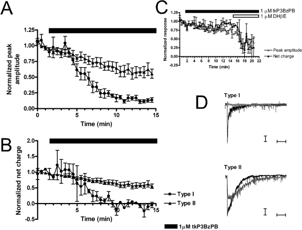 Fig. 10.