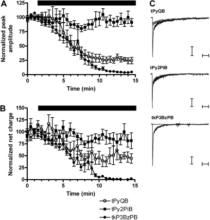 Fig. 8.