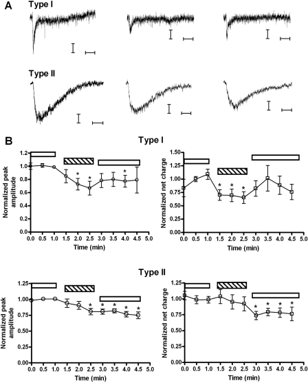 Fig. 9.