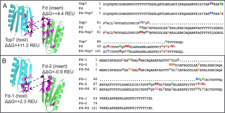 Figure 4—figure supplement 2.