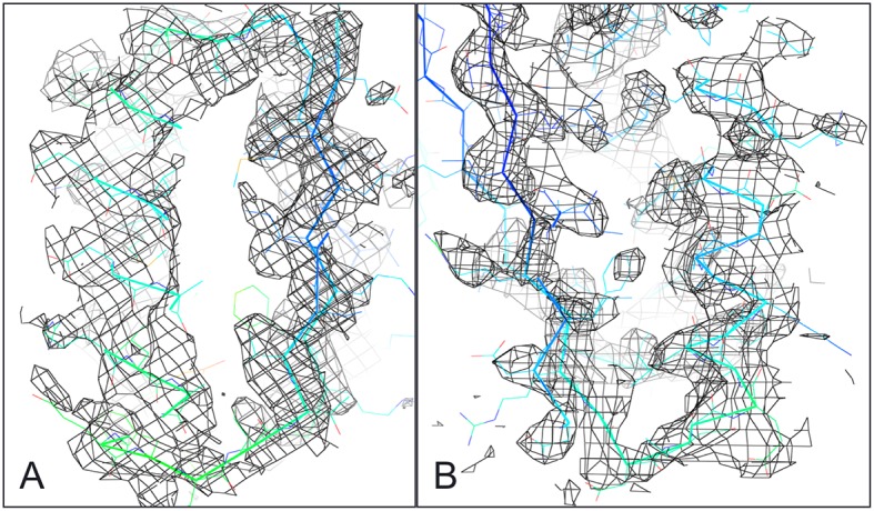 Figure 3—figure supplement 2.