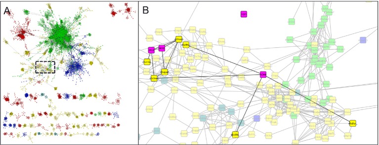 Figure 4—figure supplement 1.