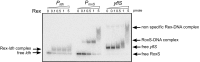 Figure 10.