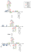 Figure 5.