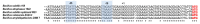 Figure 1—figure supplement 2.
