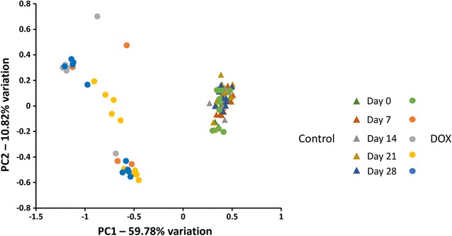 Fig. 3