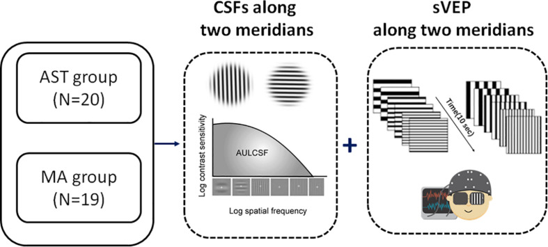 FIGURE 1