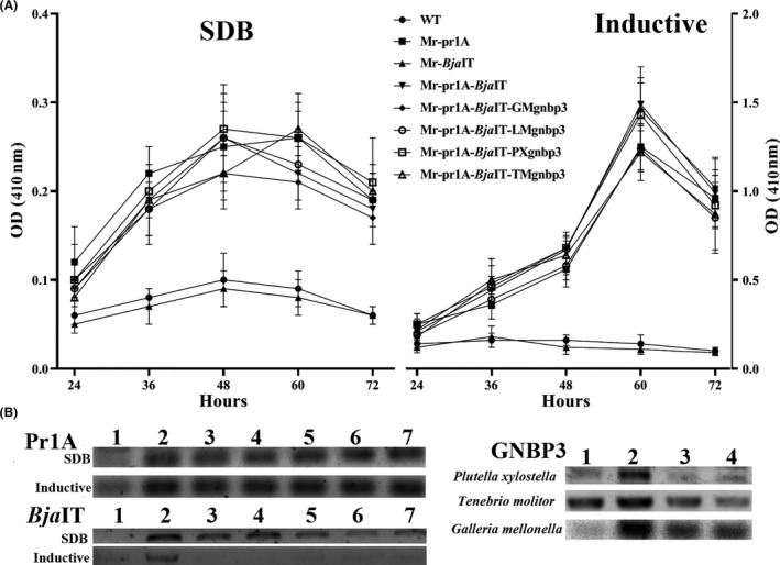 Fig. 4