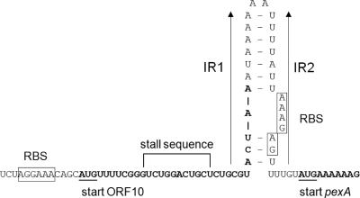 FIG. 2.