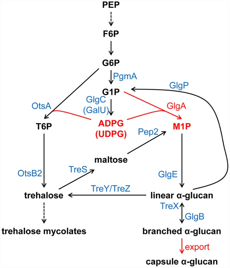 Fig 6