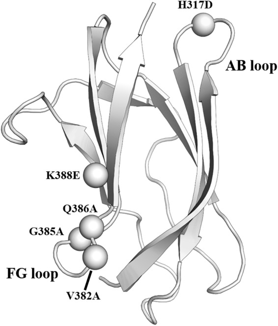 FIGURE 3