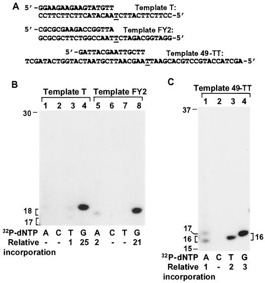 FIG. 5