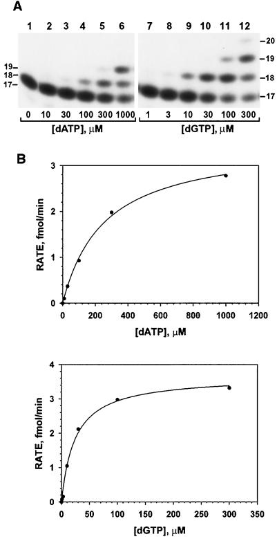 FIG. 6