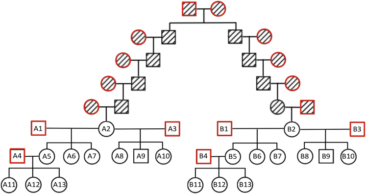 Figure 1