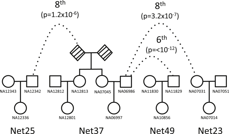 Figure 6