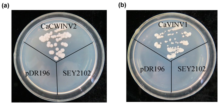 Figure 9