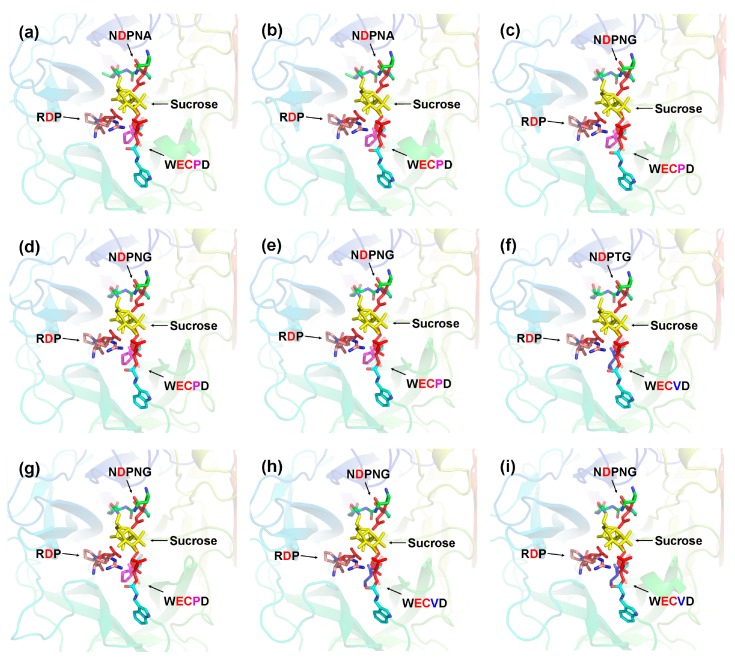 Figure 7