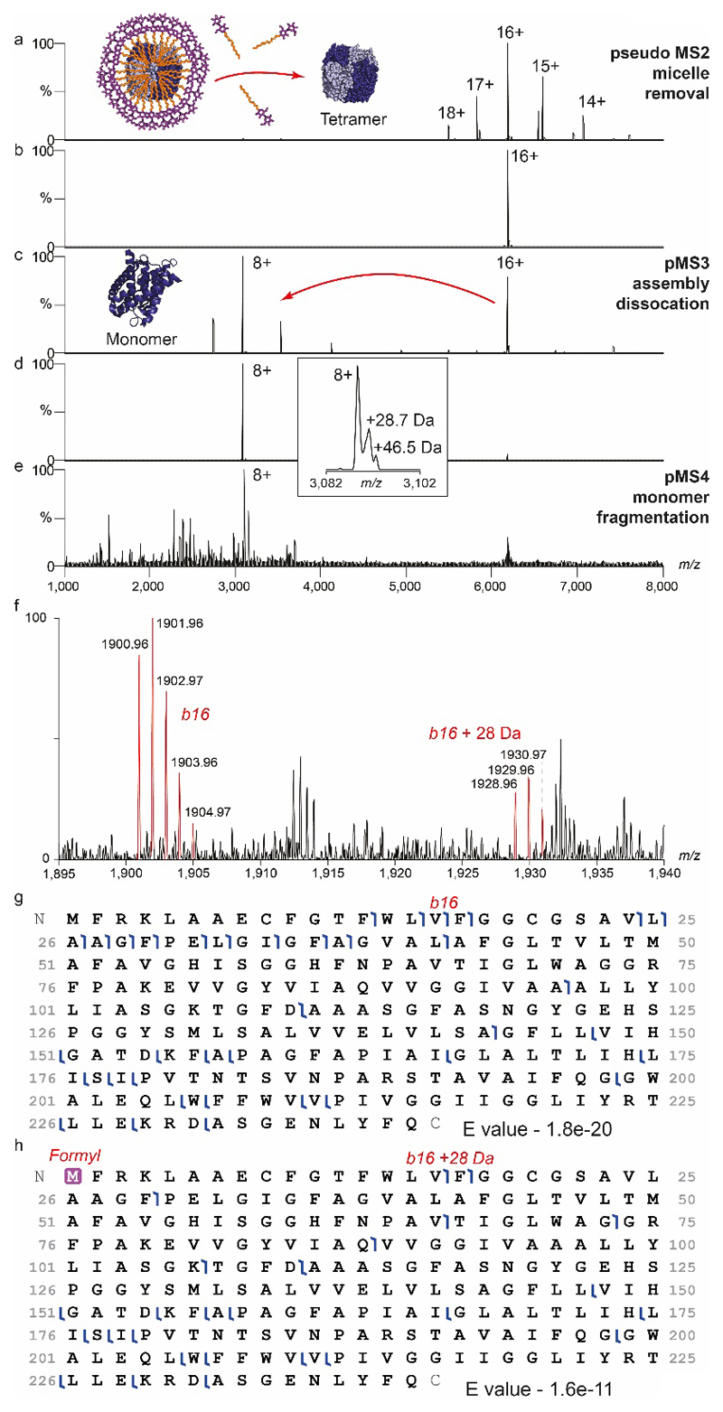 Extended Data Figure 5