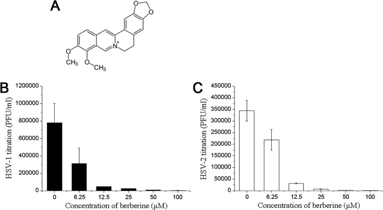 FIG 1