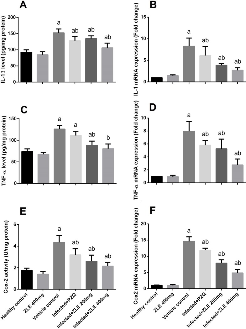 Fig 8