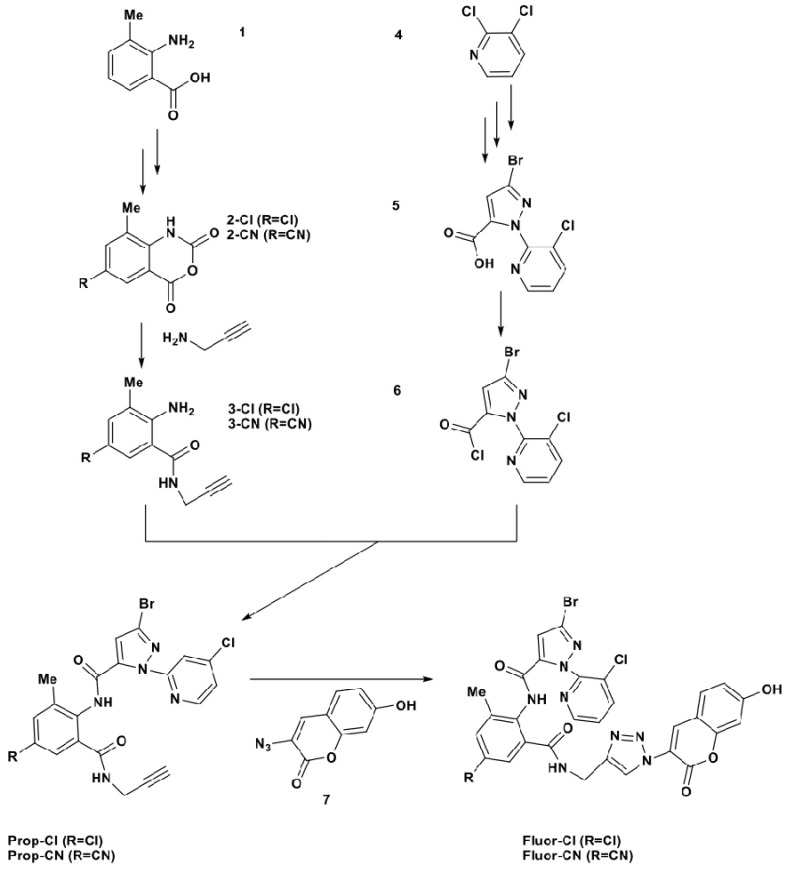 Scheme 1