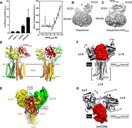 Fig. 3