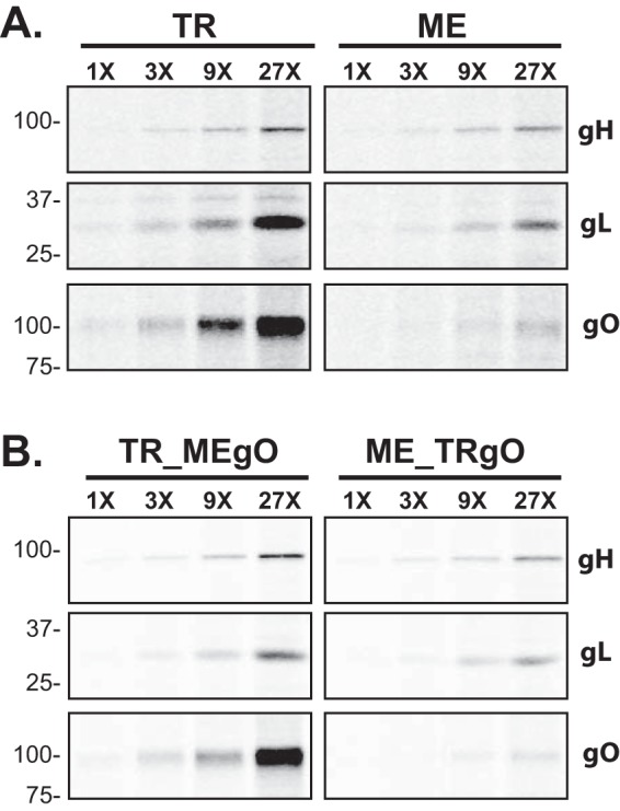 FIG 6