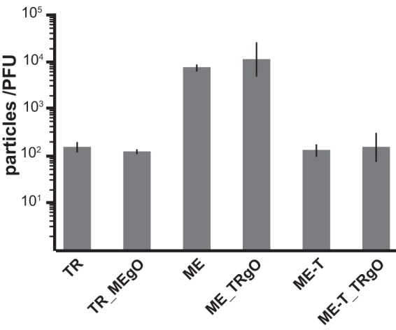 FIG 3