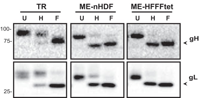 FIG 2