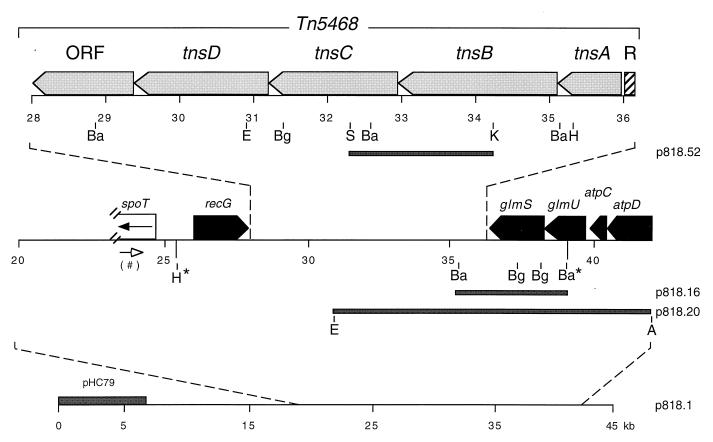 FIG. 1