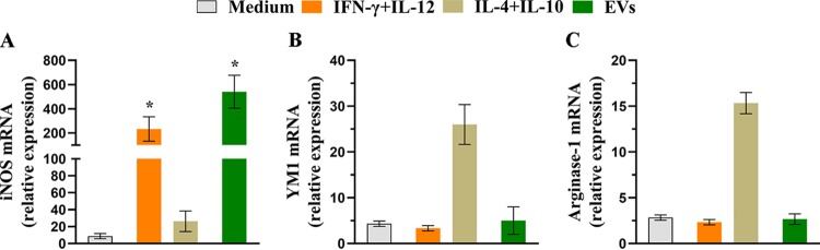 FIG 4