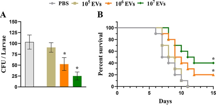 FIG 5