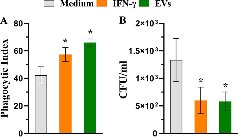 FIG 3