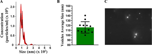 FIG 1